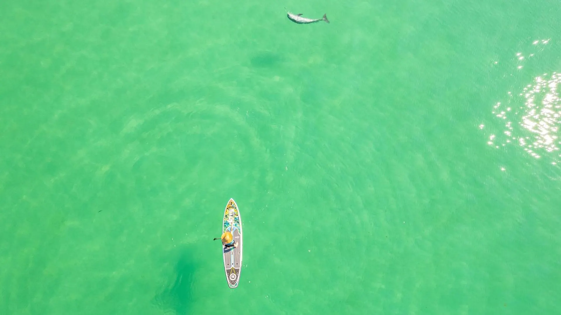 Dolphin Point 305B- By Holiday Isle Properties Destin 0*,